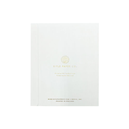 Blank Greeting Card Set