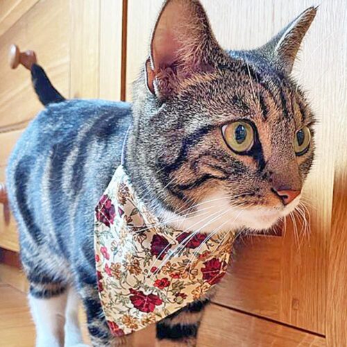 PATTERN : Best Friend Bandana Sewing Pattern - Image 5