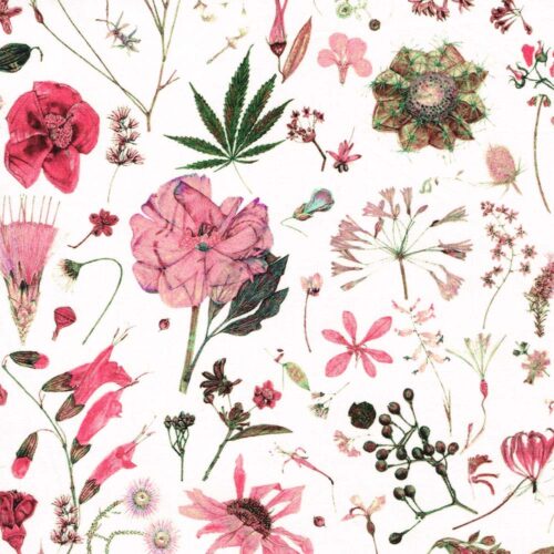 Liberty Tana Lawn Fabric Floral Eve B
