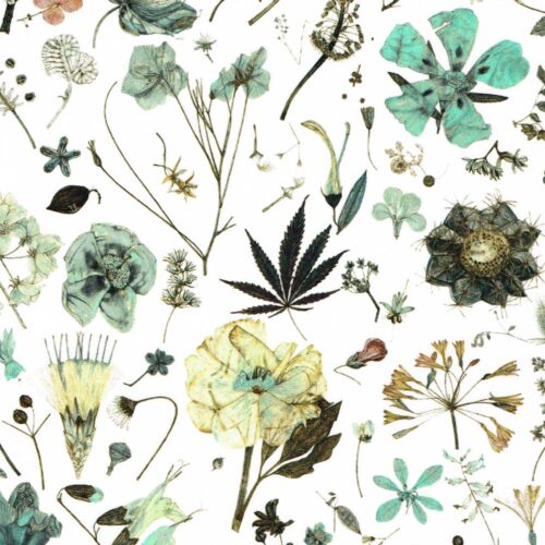 Liberty Tana Lawn Fabric Floral Eve C