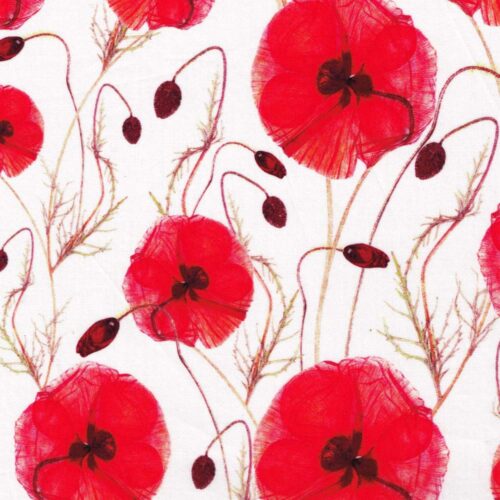 Hannah's Poppy