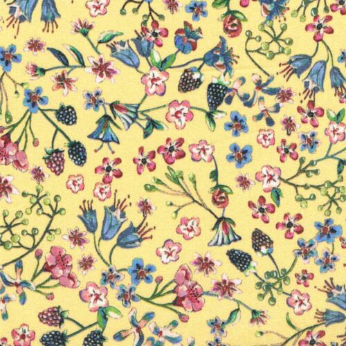 Liberty Tana Lawn Fabric Donna Leigh
