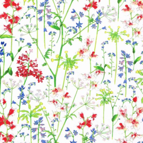 Liberty Fabric Tana Lawn Theodora C-SP