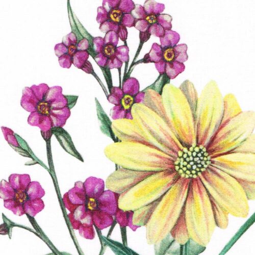 Liberty Fabric Tana Lawn Floral Academy A - Image 2