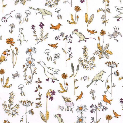 Liberty Tana Lawn Fabric Theo E-CC