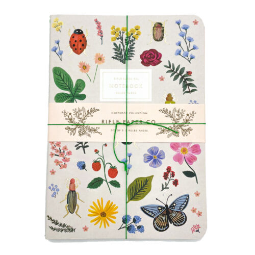 Curio Set of 3 Notebooks