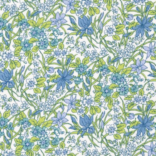Liberty Quilting Cotton Fabric Ricardo A