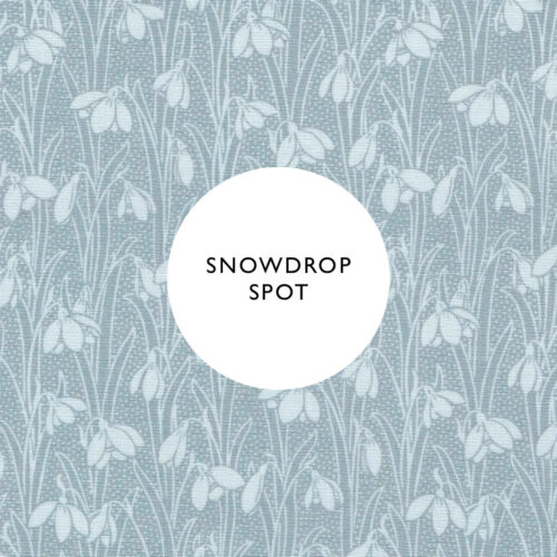 Snowdrop Spot