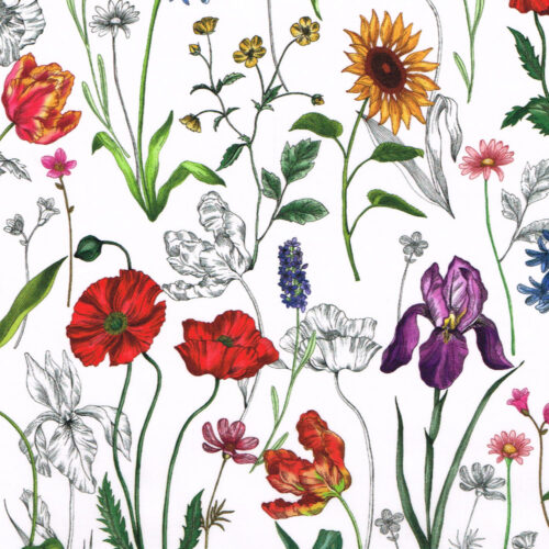 Liberty Tana Lawn® Cotton Fabric SS25 Retold Collection Meadow Muse A