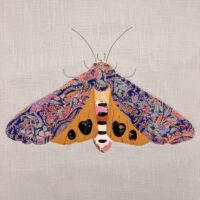 moth-cushion-3-sq
